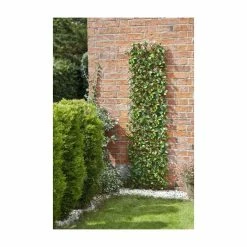 Smart Garden - Artificial Lemon Leaf Willow Trellis Plant Decoration 19 Smart Garden - Artificial Lemon Leaf Willow Trellis Plant Decoration -Plants outlet store GS1378 add image 8 86aa