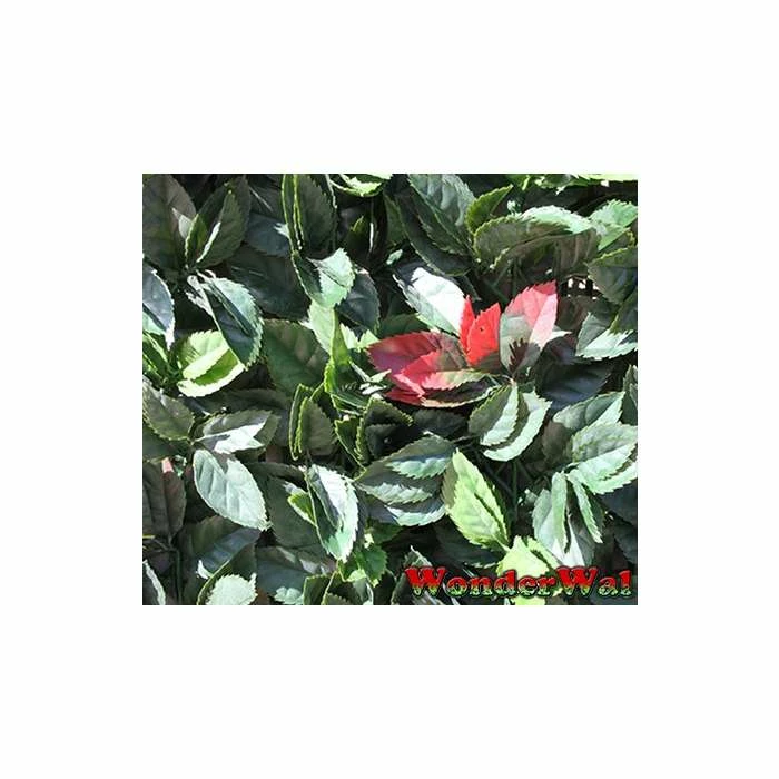 1m American Beech Hedge Cover Artificial Screening 3 1m American Beech Hedge Cover Artificial Screening