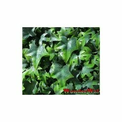 1m Traditional English Ivy Artificial Screening