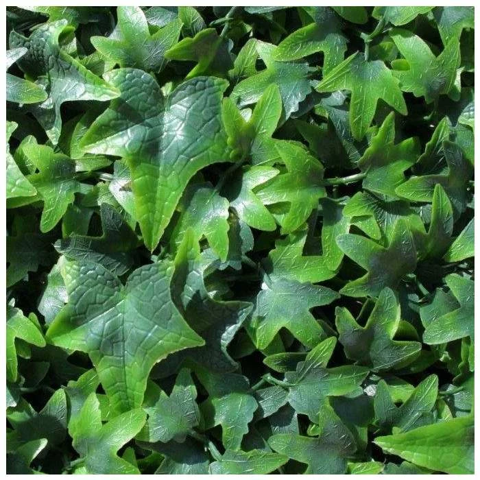 1m Traditional English Ivy Artificial Screening 4 1m Traditional English Ivy Artificial Screening - Image 2
