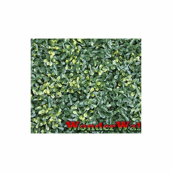 1m Buxus Leaf Artificial Screening 3 1m Buxus Leaf Artificial Screening