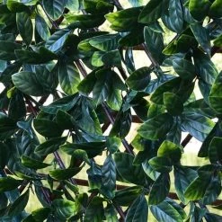 1m X 2m Laurel Leaf Extendable Artificial Screening -Plants outlet store GS6060 rollover image 5b80