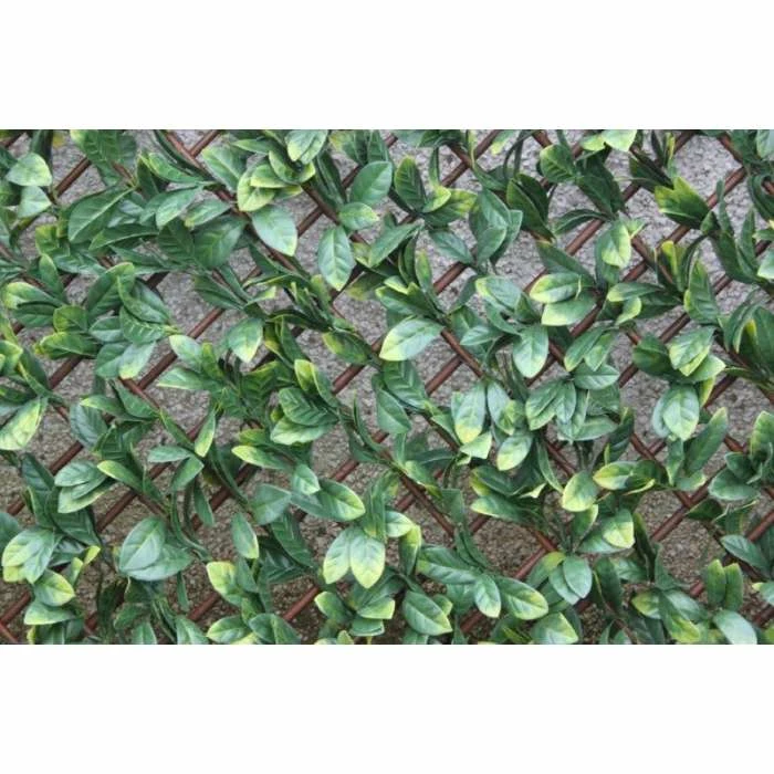 1m X 2m Extendable Artificial Laurel Leaf Screening Trellis 2 1m X 2m Extendable Artificial Laurel Leaf Screening Trellis