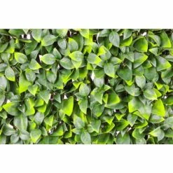 1m X 2m Extendable Artificial Orange Leaf Screening Trellis