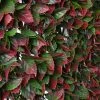 1 X 2m Red Variegated Beech Extendable Trellis Artificial Screening -Plants outlet store GS8133 main image 7d96