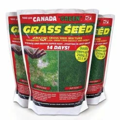 Canada Green Lawn Seed | 500g Treats 18.6m²
