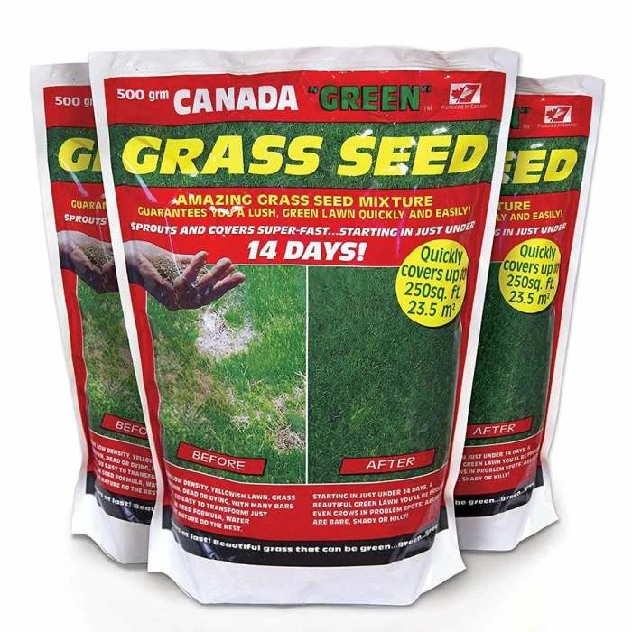 Canada Green Lawn Seed | 500g Treats 18.6m² 3 Canada Green Lawn Seed | 500g Treats 18.6m²