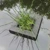 Floating Island For Shallow Water Plants | 25cm Square -Plants outlet store PL30003708 c9d6