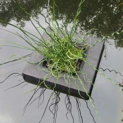 Floating Island For Shallow Water Plants | 25cm Square