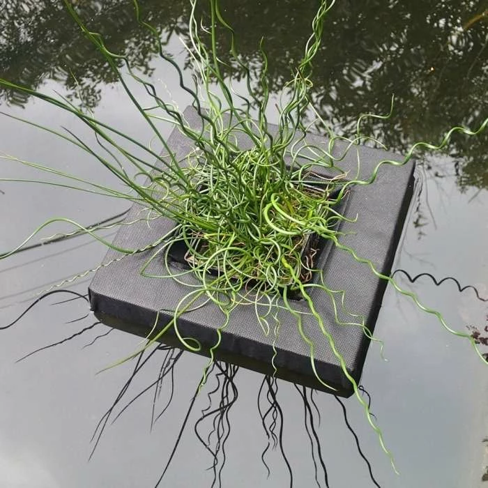 Floating Island For Shallow Water Plants | 25cm Square 3 Floating Island For Shallow Water Plants | 25cm Square