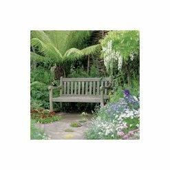 Dicksonia Antarctica | Tree Fern -Plants outlet store PL41190 add image 2 7252