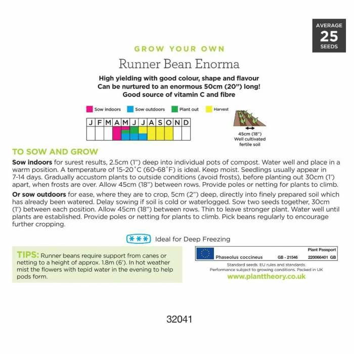 'Enorma' Runner Bean Seeds | By Plant Theory 5 'Enorma' Runner Bean Seeds | By Plant Theory - Image 3