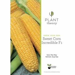 Plants outlet store -Plants outlet store PL60055 add image 1 2fa7