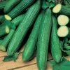 'Telegraph Improved' Cucumber Seeds | By Plant Theory -Plants outlet store PL60064 main image d289