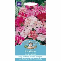 Godetia Dwarf Mixed Seeds | Clarkia Amoena | By Mr Fothergills -Plants outlet store PL92408 add image 1 e03c