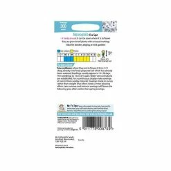 Nemophila 'Five Spot' Seeds | Nemophila Maculata | By Mr Fothergills -Plants outlet store PL92424 add image 2 98bc