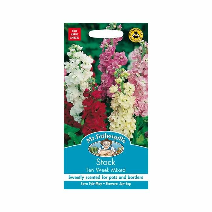 Stock 'Ten' Week Seeds | Matthiola Incana | By Mr Fothergills 4 Stock 'Ten' Week Seeds | Matthiola Incana | By Mr Fothergills - Image 2