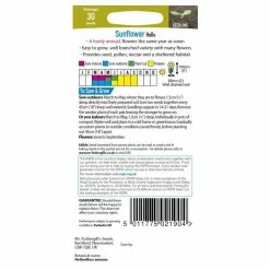 Sunflower 'Hallo' Seeds | Helianthus Annuus | By Mr Fothergills -Plants outlet store PL92432 add image 2 070d