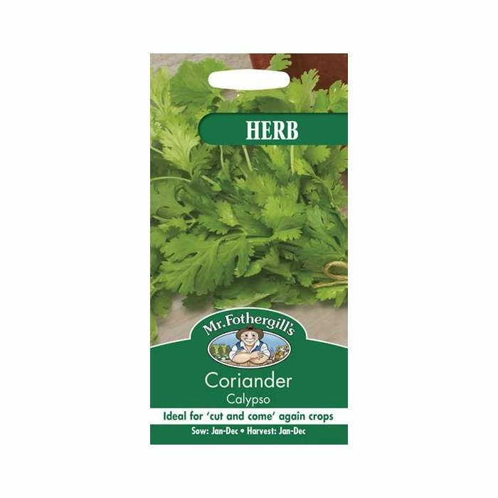 Coriander 'Calypso' Seeds | Coriandrum Sativum | By Mr Fothergills 4 Coriander 'Calypso' Seeds | Coriandrum Sativum | By Mr Fothergills - Image 2