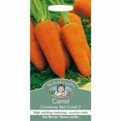 Carrot 'Chantenay Red Cored 2' Seeds | Daucus Carota | By Mr Fothergills -Plants outlet store PL92458 add image 1 9336