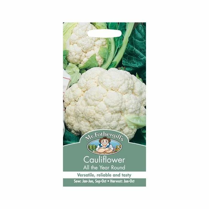 Cauliflower 'All Year Round' Seeds | Brassica Oleracea Botrytis | By Mr Fothergills 4 Cauliflower 'All Year Round' Seeds | Brassica Oleracea Botrytis | By Mr Fothergills - Image 2