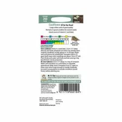 Cauliflower 'All Year Round' Seeds | Brassica Oleracea Botrytis | By Mr Fothergills 7 Cauliflower 'All Year Round' Seeds | Brassica Oleracea Botrytis | By Mr Fothergills -Plants outlet store PL92461 add image 2 903b