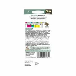 Cucumber 'Marketmore 76' Seeds | Cucumis Sativus | By Mr Fothergills -Plants outlet store PL92466 add image 2 5c99