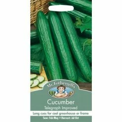 Cucumber 'Telegraph Improved' Seeds | Cucumis Sativus | By Mr Fothergills -Plants outlet store PL92467 add image 1 de4c