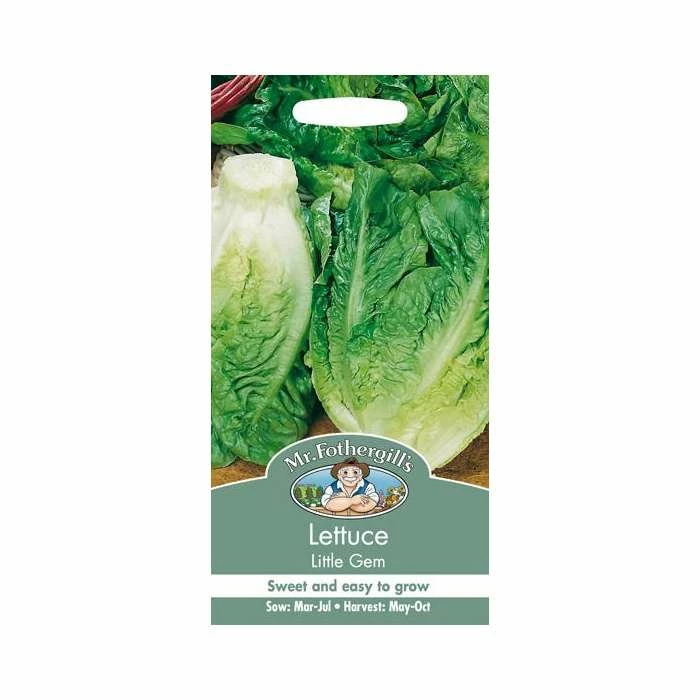 Lettuce 'Little Gem' Seeds | Lactuca Sativa | By Mr Fothergills 4 Lettuce 'Little Gem' Seeds | Lactuca Sativa | By Mr Fothergills - Image 2