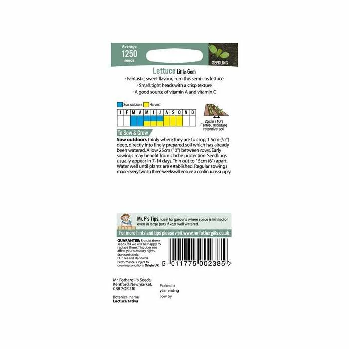 Lettuce 'Little Gem' Seeds | Lactuca Sativa | By Mr Fothergills 5 Lettuce 'Little Gem' Seeds | Lactuca Sativa | By Mr Fothergills - Image 3