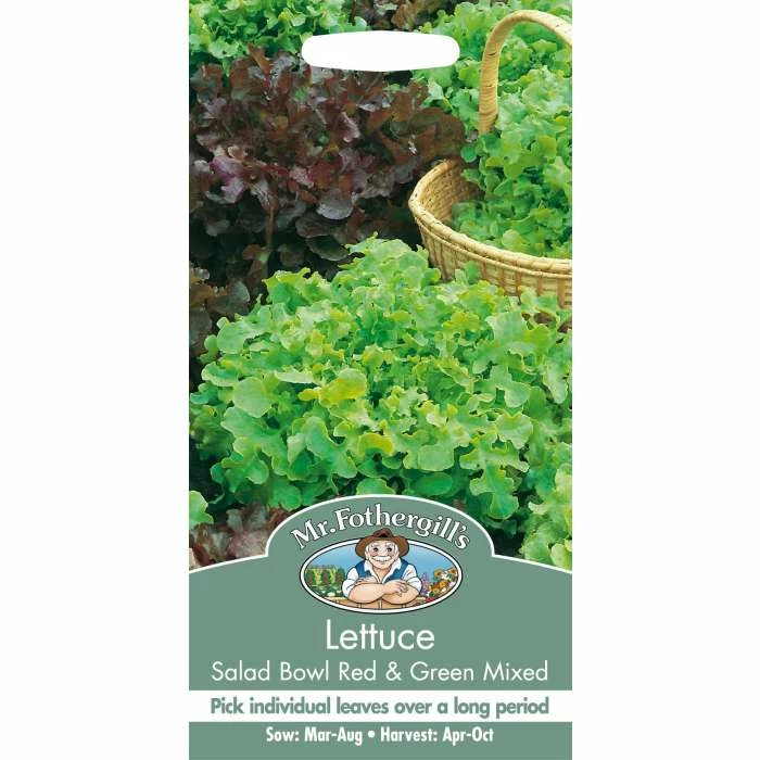 Salad Bowl Red & Green Mixed Lettuce Seeds | Lactuca Sativa | By Mr Fothergills 4 Salad Bowl Red & Green Mixed Lettuce Seeds | Lactuca Sativa | By Mr Fothergills - Image 2
