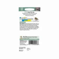 Spring Onion 'White Lisbon' Seeds | Allium Cepa | By Mr Fothergills -Plants outlet store PL92474 add image 2 f003