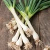 Spring Onion 'White Lisbon Winter Hardy' Seeds | Allium Cepa | By Mr Fothergills 2 Spring Onion 'White Lisbon Winter Hardy' Seeds | Allium Cepa | By Mr Fothergills -Plants outlet store PL92475 main image e423