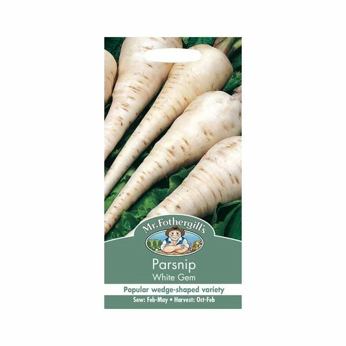 Parsnip 'White Gem' Seeds | Pastinaca Sativa | By Mr Fothergills 4 Parsnip 'White Gem' Seeds | Pastinaca Sativa | By Mr Fothergills - Image 2