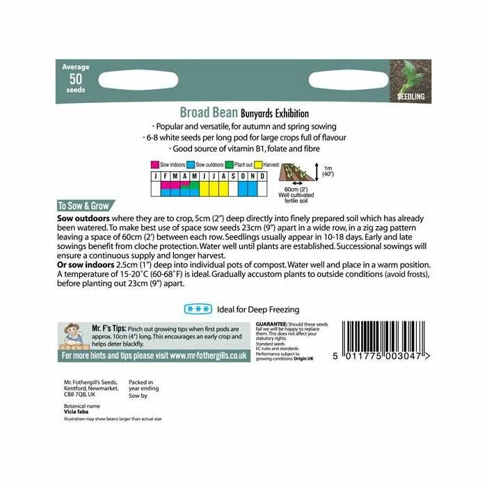 BroadBean 'Bunyard's Exhibition' Seeds | Vicia Faba | By Mr Fothergills 5 BroadBean 'Bunyard's Exhibition' Seeds | Vicia Faba | By Mr Fothergills - Image 3