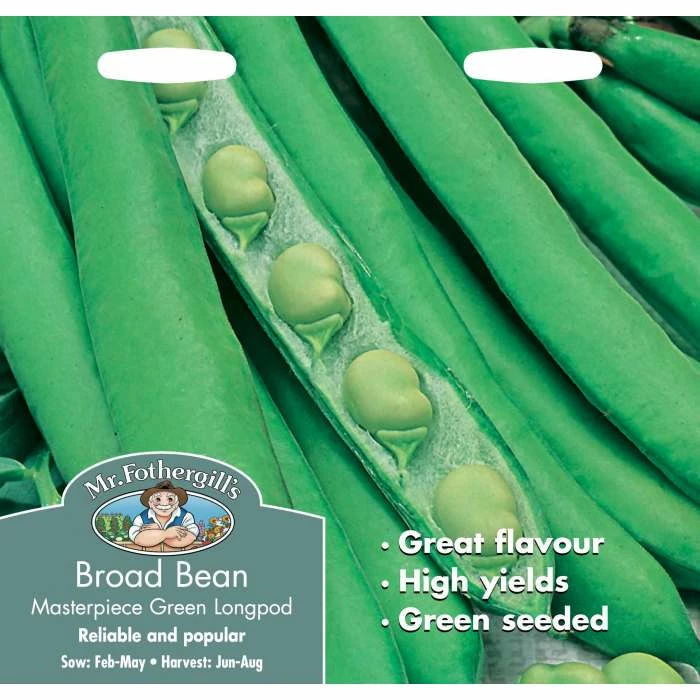 BroadBean 'Masterpiece Green Longpod' Seeds | Vicia Faba| By Mr Fothergills 4 BroadBean 'Masterpiece Green Longpod' Seeds | Vicia Faba| By Mr Fothergills - Image 2