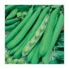 BroadBean 'Masterpiece Green Longpod' Seeds | Vicia Faba| By Mr Fothergills -Plants outlet store PL924936 main image e750