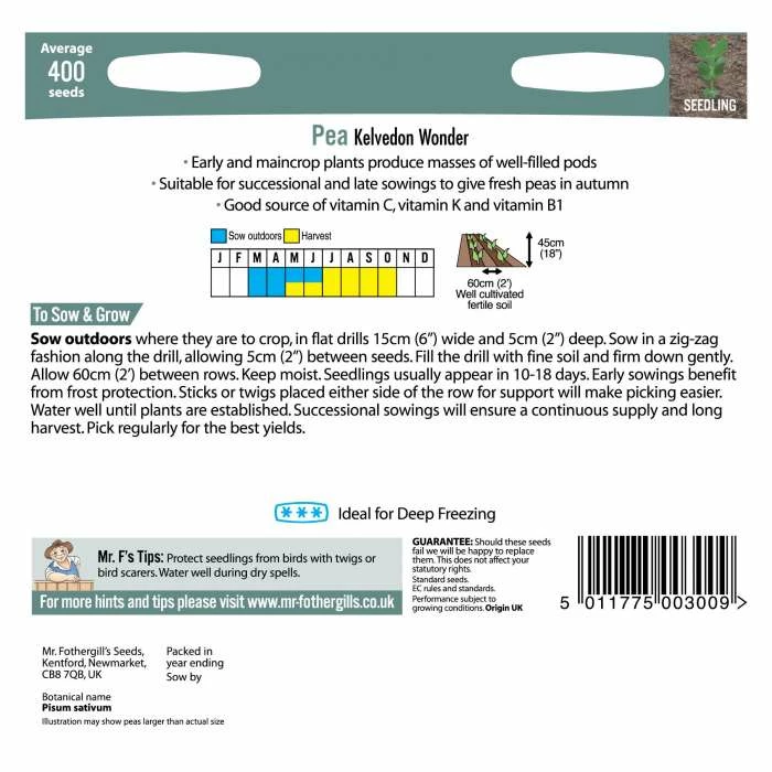 Pea 'Kelvedon Wonder' Seeds | Pisum Sativum | By Mr Fothergills 5 Pea 'Kelvedon Wonder' Seeds | Pisum Sativum | By Mr Fothergills - Image 3