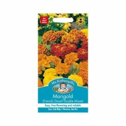 Marigold French 'Dwarf Double' Mixed Seeds | Tagetes Patula | By Mr Fothergills -Plants outlet store PL9837 add image 1 5230