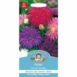Aster 'Ostrich Feather' Seeds | Callistephus Chinensis | By Mr Fothergills -Plants outlet store PL9848 add image 1 606b