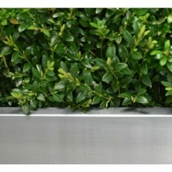 100cm Zinc Galvanised Silver Trough Planter - By Primrose™ -Plants outlet store PP0003XL add image 1 7729