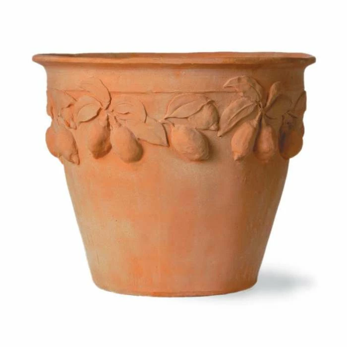 Citrus Planters - Height 60cm - 3 Citrus Planters - Height 60cm -