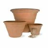 The Big One – Simply Massive Terracotta Pot Planter -Plants outlet store PP0051H61 main image 6f05