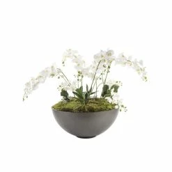Shallow Bowl Planter - H36cm X D80cm -Plants outlet store PP0104 rollover image 628b