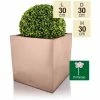 30cm Zinc Galvanised Cube Planter In A Copper Finish By Primrose™ -Plants outlet store PP0264M main image 99d6