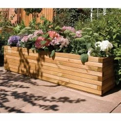 Plants outlet store -Plants outlet store PP0338 rollover image 6b2e