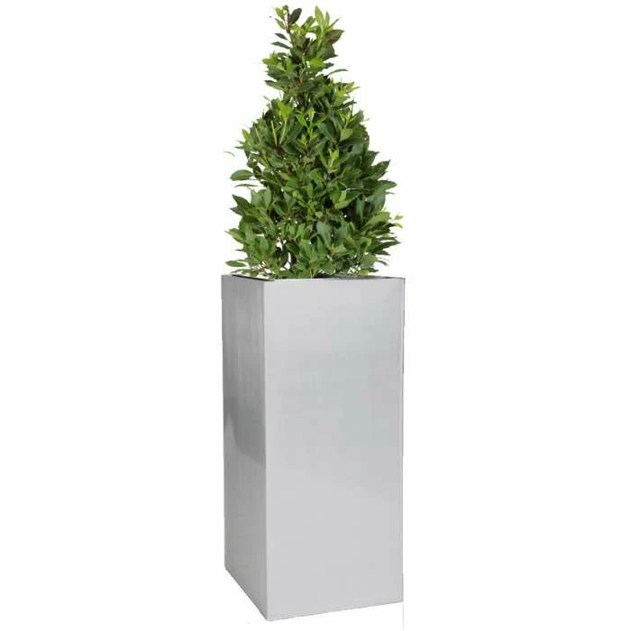 H75cm Zinc Galvanised Tall Silver Cube Planter - By Primrose™ 3 H75cm Zinc Galvanised Tall Silver Cube Planter - By Primrose™