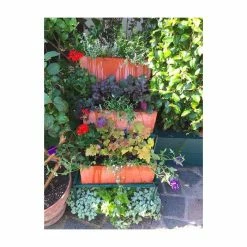 80cm Terracotta Fibrecotta Trough Planter -Plants outlet store PP0450L add image 5 5c23