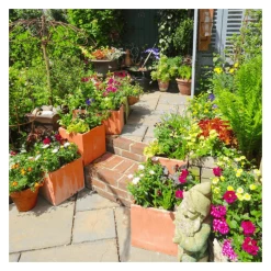 25cm Terracotta Fibrecotta Small Cube Planter 13 25cm Terracotta Fibrecotta Small Cube Planter -Plants outlet store PP0452S add image 5 5ffe