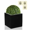 52cm Polystone XL Black Cube Planter -Plants outlet store PP0460XL main image 87f8
